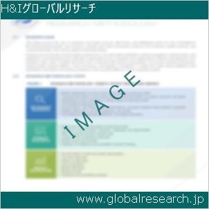 グローバルリサーチ調査レポートのイメージ